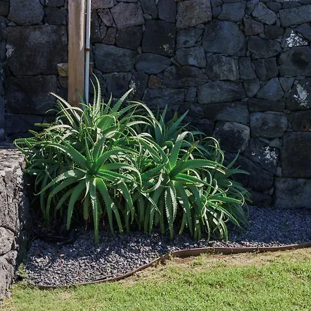 דירה Casa Cinco Angra do Heroísmo