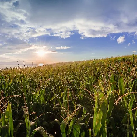 דירה Casa Cinco Angra do Heroísmo