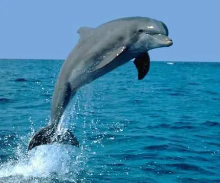 Casa Cinco Angra do Heroísmo