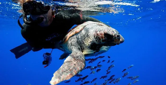 Apartamento Casa Cinco Angra do Heroísmo